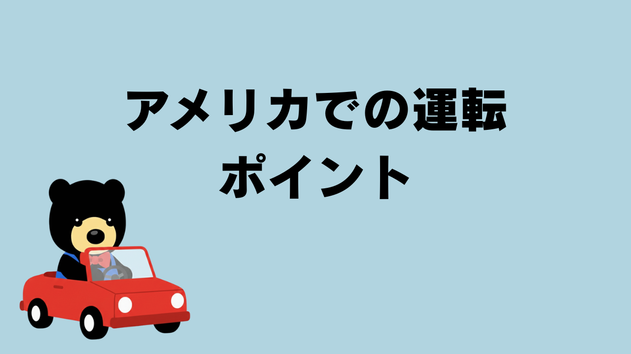 クマが赤い車を運転しているイラスト